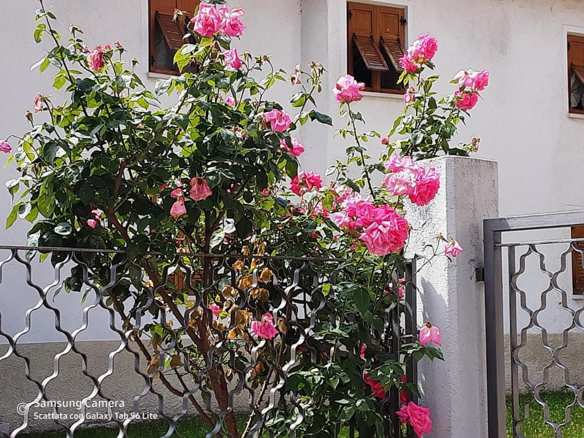 B&B Anna Rovere della Luna 외부 사진
