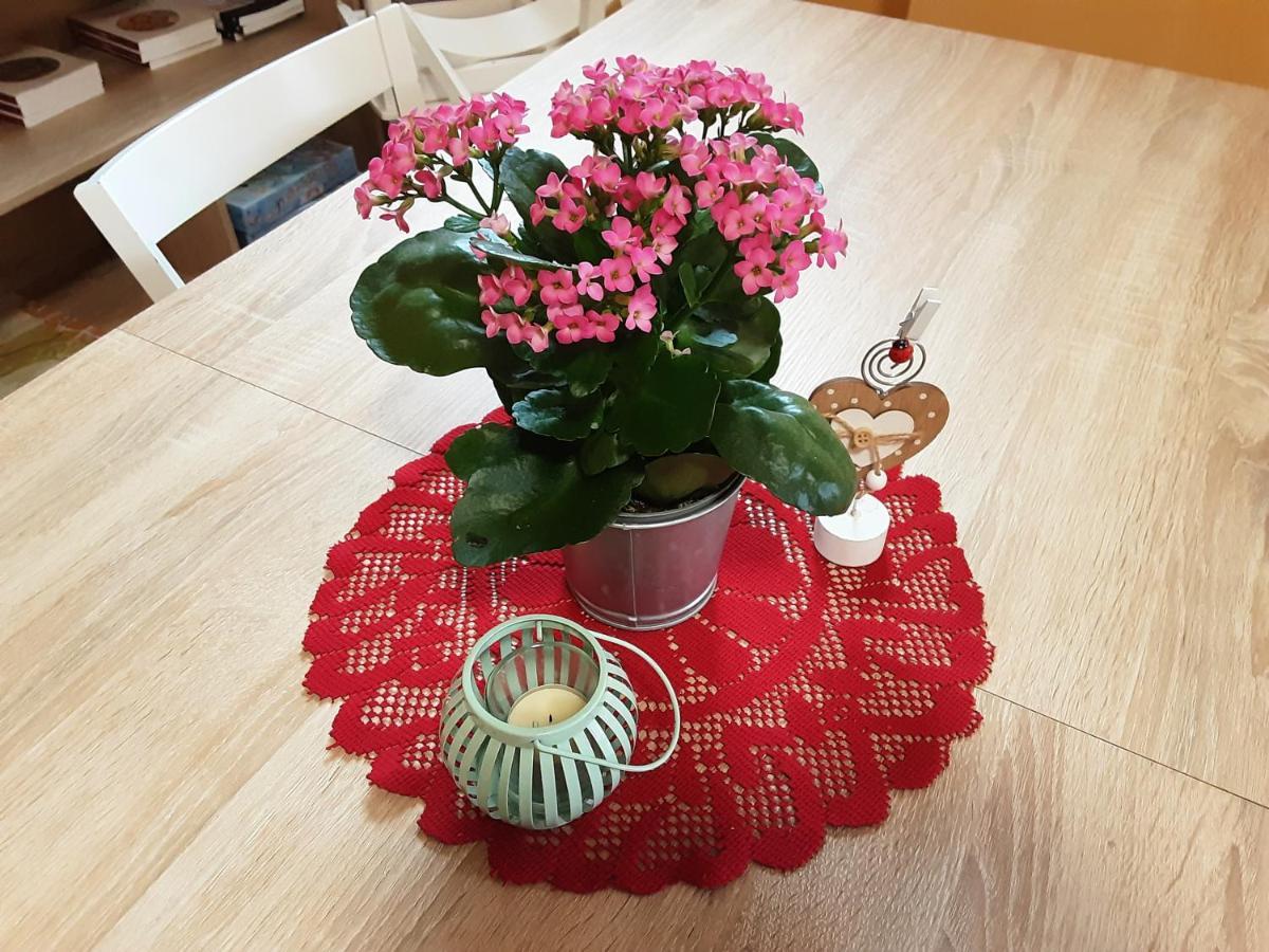 B&B Anna Rovere della Luna 외부 사진